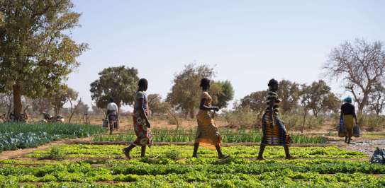 Women walking across an irrigation site at a Christian Aid funded project