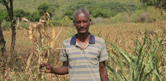 A man holding a dried corn crop showing the effects of drought in South Omo, Ethiopia