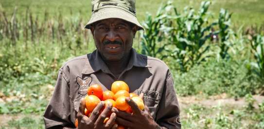A man holding some fresh oranges