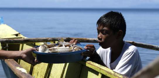 A young boy called Henry in a fishing boat with a catch, Philippines