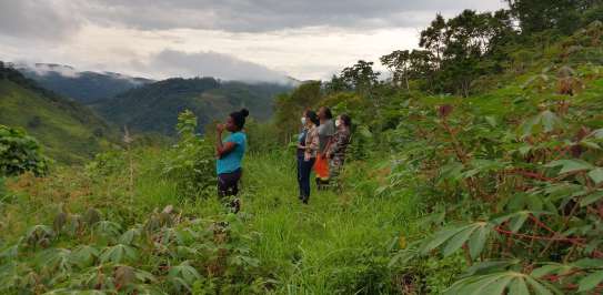 Women farmers in Brazil, looking over the land they have farmed sustainably. 