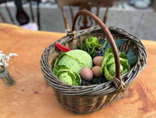 Basket of organic food
