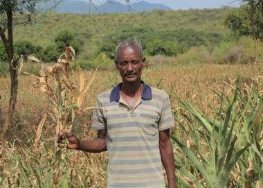A man holding a dried corn crop showing the effects of drought in South Omo, Ethiopia