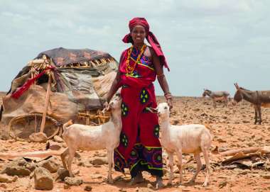 Christian Aid Charity Gifts Loko standing with two goats