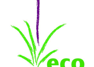 Eco congregation Ireland