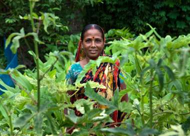 Community adaptation and women’s empowerment in Bangladesh