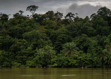 Riverbank in Colombia